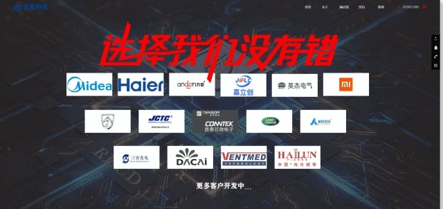 公司网站上线